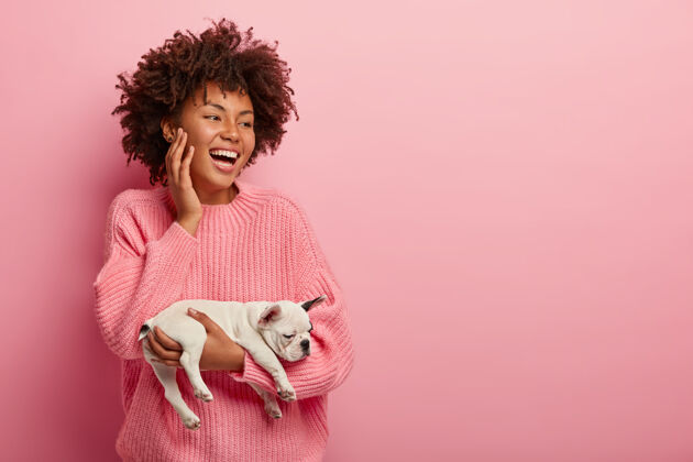 玩快乐的微笑快乐的黑皮肤女性携带小睡着的法国斗牛犬小狗 穿着粉红色的套头衫 专注在一边 精神高昂 隔离在粉红色的墙壁单色宠物的概念动物微笑快乐