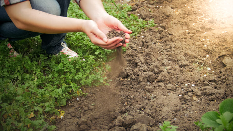 女性特写镜头中的年轻女子手持干土或泥土在花园里泥土举行土地