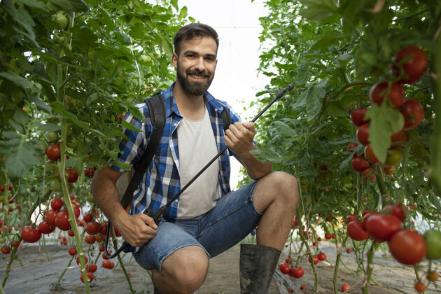 篮子年轻的留着胡子的农工用杀虫剂喷洒植物以防病栽培生长种植者