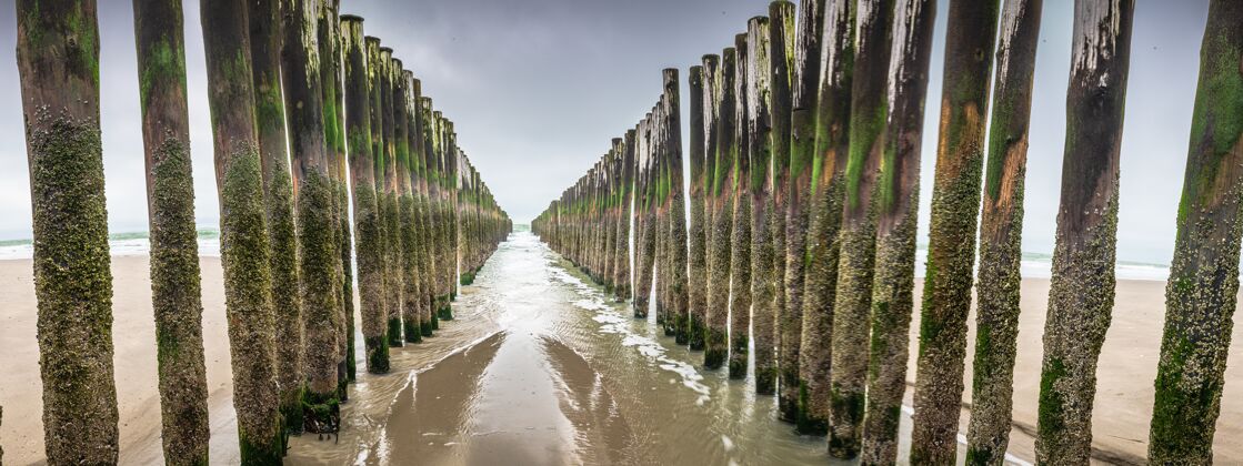 码头北海 新西兰 荷兰的木制破浪装置海洋湖全景