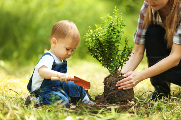 工作可爱的小男孩和父母在花园里种树人女人帮助