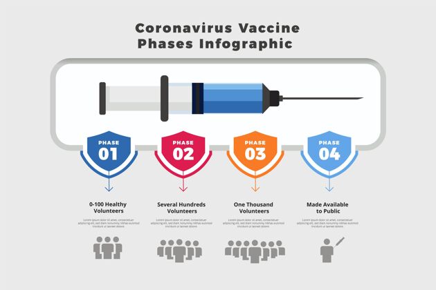 疫苗扁平冠状病毒疫苗阶段信息图模板图形冠状病毒平面设计