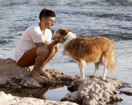 哺乳动物在海边养狗的年轻人雄性家养狗人