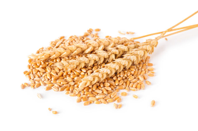 农业白色背景上的小麦小穗和谷粒收获营养堆