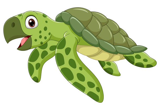 海洋生物卡通海龟孤立动物平面卡通人物