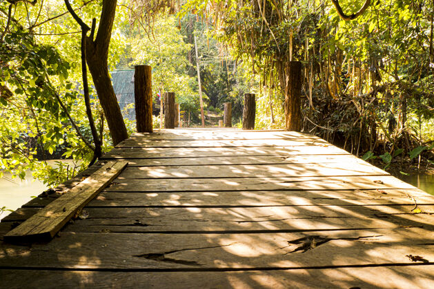 路早晨的阳光穿过树木 穿过热带雨林里的木桥公园旅游小路