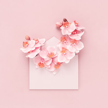 信温柔的兰花花束在粉红色的信封内作为礼物送给妇女节 母亲节 情人节 生日平铺背景兰花生日最小