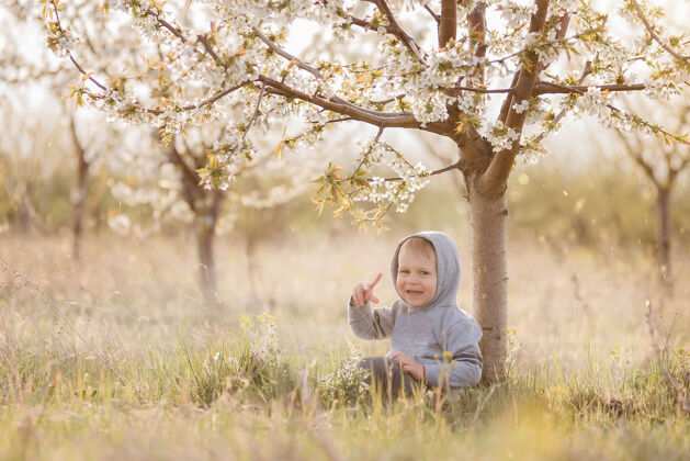 情感穿着灰色运动衫 头戴风帽的金发小男孩坐在开花树下的绿草里幼儿肖像新鲜