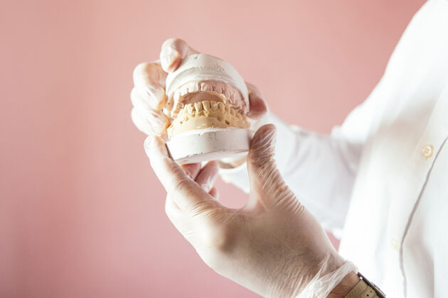 勤勉医生的手在粉色背景上展示复合义齿西班牙医学牙齿