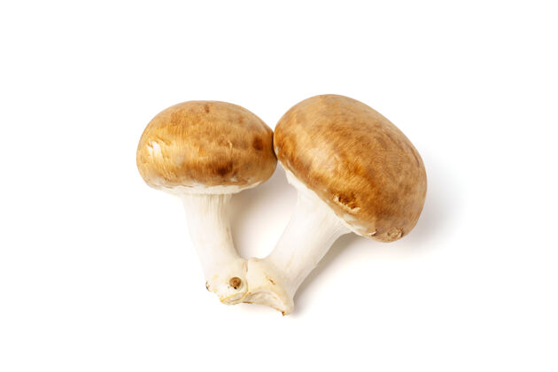 蘑菇两个棕色的蘑菇 在白色背景上隔离开来食品蔬菜有机