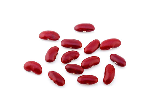 蛋白质红豆孤立在白色背景上健康干自然