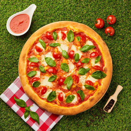 披萨传统的意大利披萨玛格丽塔配奶酪 西红柿和罗勒在绿草上叶罗勒午餐