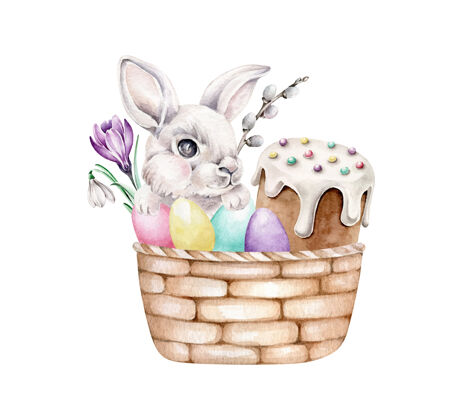 兔子兔子在篮子里用鸡蛋隔离在白色上复活节篮子甜点