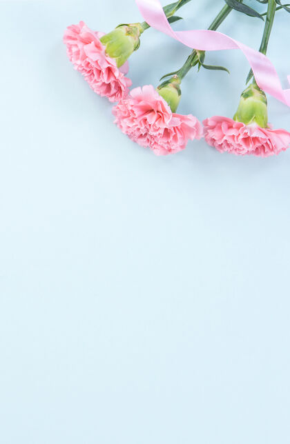 头顶美丽的粉红色康乃馨在淡蓝色的桌子背景上为母亲节献花的概念叶子想法花束
