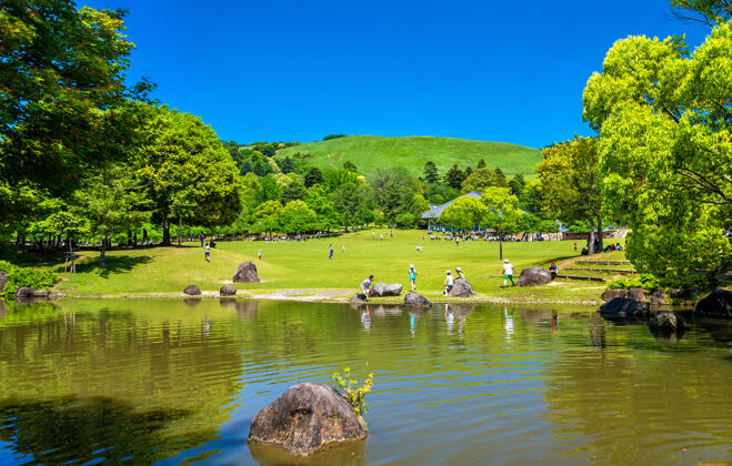 观光日本关西地区奈良公园的地面日本多彩花园