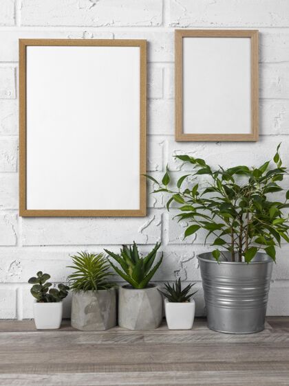 植物墙上的框架和花盆花盆相框空白相框
