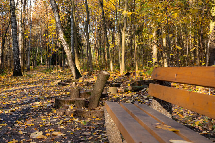 户外秋天的田园诗 孤独的公园长椅等着游客五颜六色宁静枫树