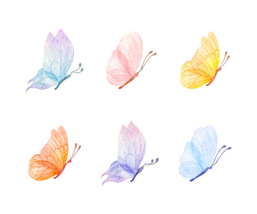 春天为特殊场合准备的一组蝴蝶水彩画浪漫装饰