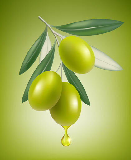 叶子橄榄自然下降树枝上溅满透明油 特写滴下逼真的希腊橄榄食物素食细枝成熟