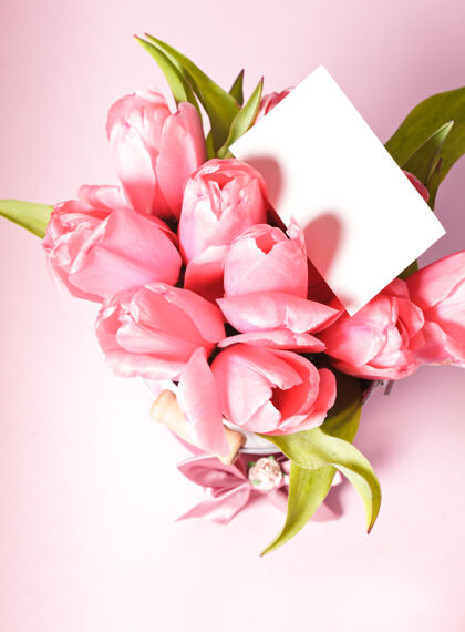 节日粉色郁金香卡片特写母亲节花朵花盆