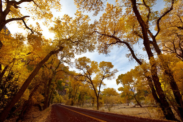 乡村美国犹他州锡安国家公园秋景公园公路风景