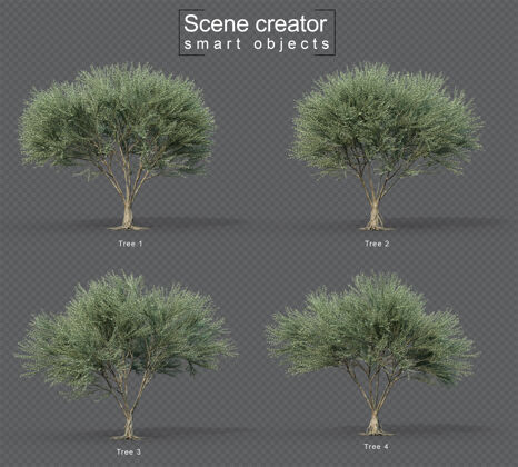 三维渲染无果橄榄树集的3d渲染树植物场景创造者