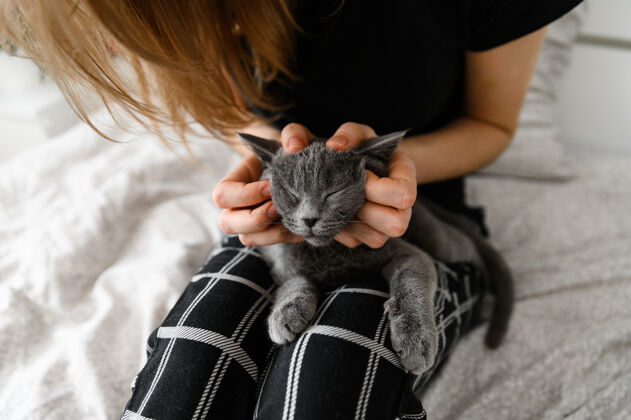 宠物穿着睡衣的女孩抱着心爱的宠物武器苏格兰的小猫在女孩怀里猫房间纯种