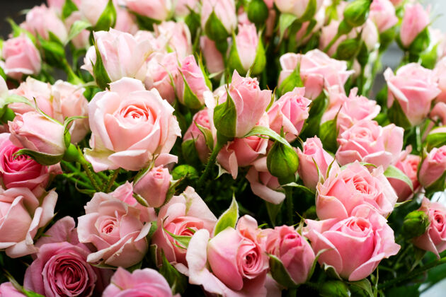 植物粉红玫瑰特写 花朵国际墙妇女节开花开花芳香