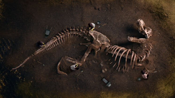 骨骼恐龙化石（霸王龙）被考古学家发现死亡死亡怪物