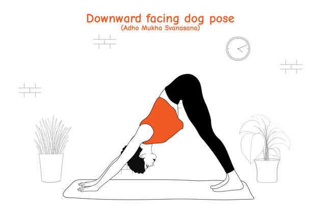 运动女人做瑜伽体式向下面对狗或adho穆哈Svananana在平面手绘风格姿势手绘健身