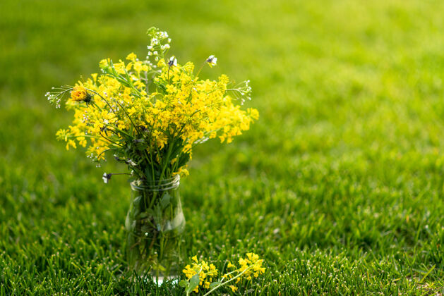 季节一束黄色的野花在草地上的瓶子里 夏天的概念草植物户外