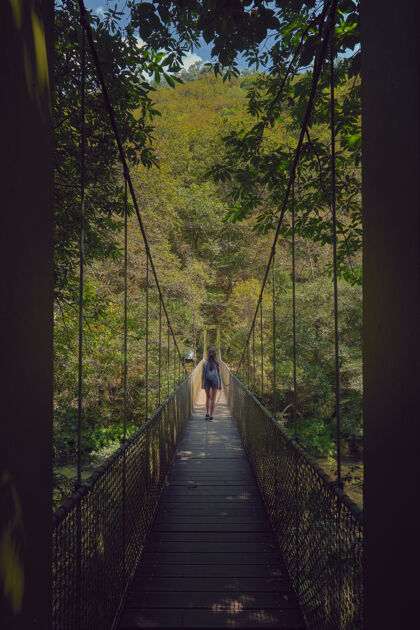 年轻阳光明媚的夏天 年轻女子在森林里过吊桥白天森林的加利西亚圣地亚哥我们的路休闲丛林水