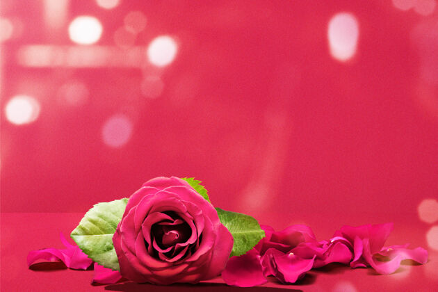 花红玫瑰和玫瑰花瓣上的一种颜色墙情人节礼物天哪心玫瑰叶