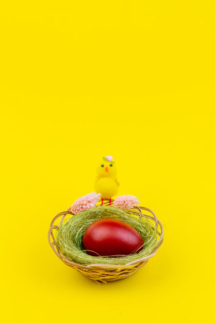 蛋复活节用一个黄色的鸡和一个红色的蛋在一个黄色的墙壁与复制空间巢组成巢组成花