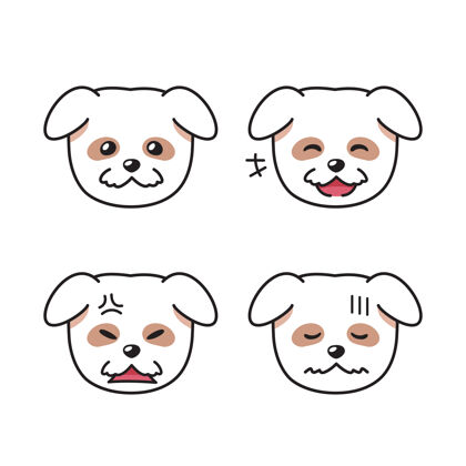 小狗一组白色的狗脸显示出不同的情绪小狗化身动物