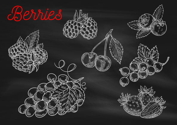 果酱夏季水果和浆果素描隔离在黑色草莓葡萄水果