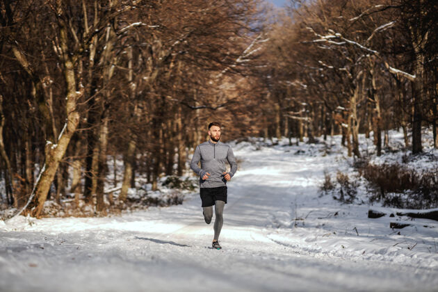 寒冷在雪天的冬天 运动员在森林里慢跑白天冬天健身 运动的生活方式 健康的生活有氧运动人减肥