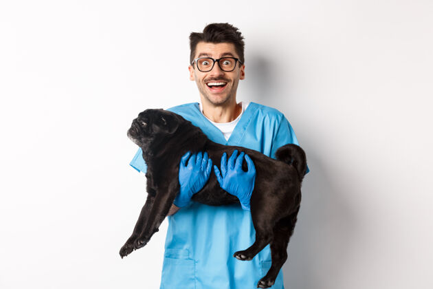 家庭兽医诊所概念快乐男兽医医生抱着可爱的黑色哈巴狗 对着镜头微笑 白色听诊器男性成人