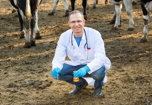 牛医生检查牧场奶牛的有机物样品医学长袍