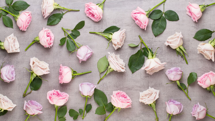 花瓣情人节鲜花合成框架由粉红玫瑰和灰色制成表面平整布局 俯视图 复制空间日构图植物