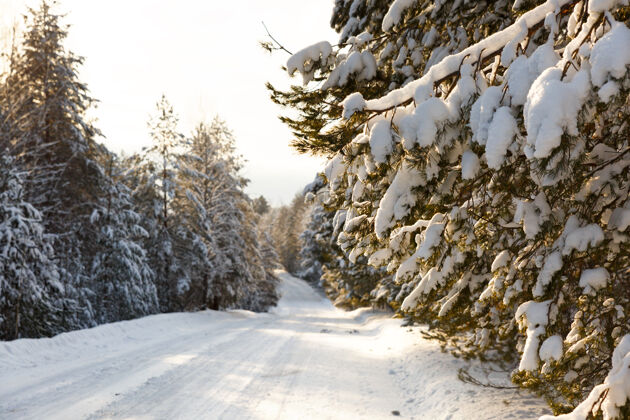 下雪弯弯曲曲的雪乡木路风险轮胎雪