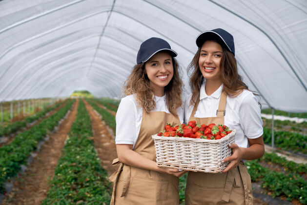 生长两个女人拿着一篮草莓栽培园艺自然