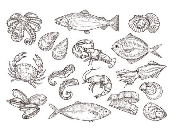 鲑鱼海鲜素描老鱼 绘画食物鱼线虾