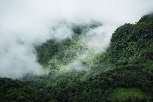 树山顶上有云风景雾风景