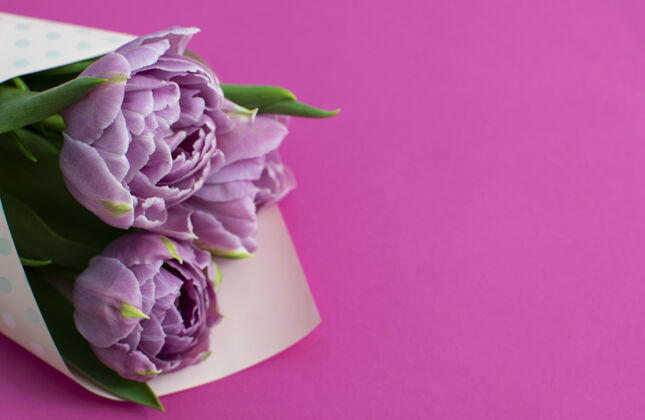 美丽美丽的紫丁香花束春天郁金香在洋红表面开花叶子花瓣