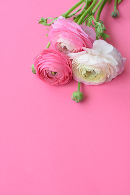 精致一束美丽的粉红色毛茛花桌子婚礼灯光