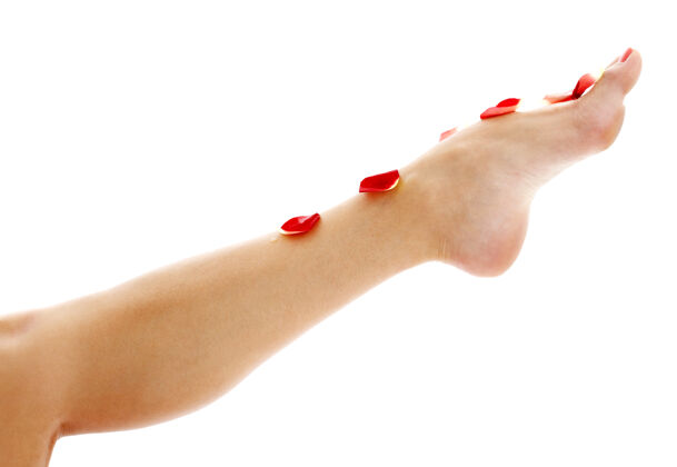 护理长长的腿上覆盖着白色的玫瑰花瓣保健女性身体