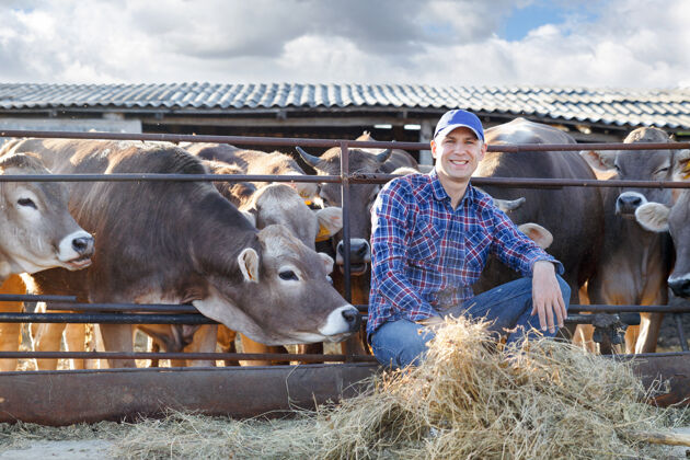 工作一个积极的男性农民在奶牛场附近的肖像家庭生活牛肉
