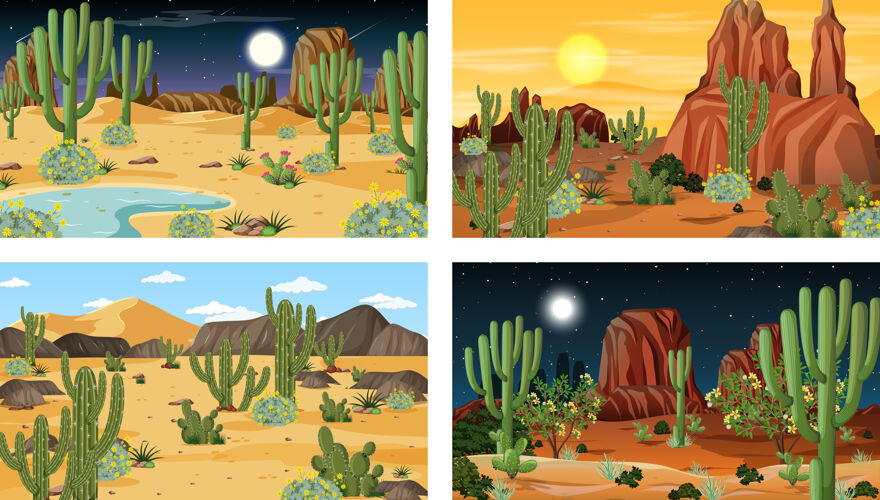 天气沙漠森林景观的不同场景自然沙丘生物