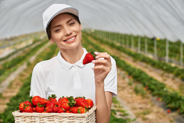 种植戴白帽的女人手里拿着盛着成熟草莓的篮子培养携带妇女